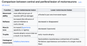 Comparison between central and periferal lesion of motorneurons.